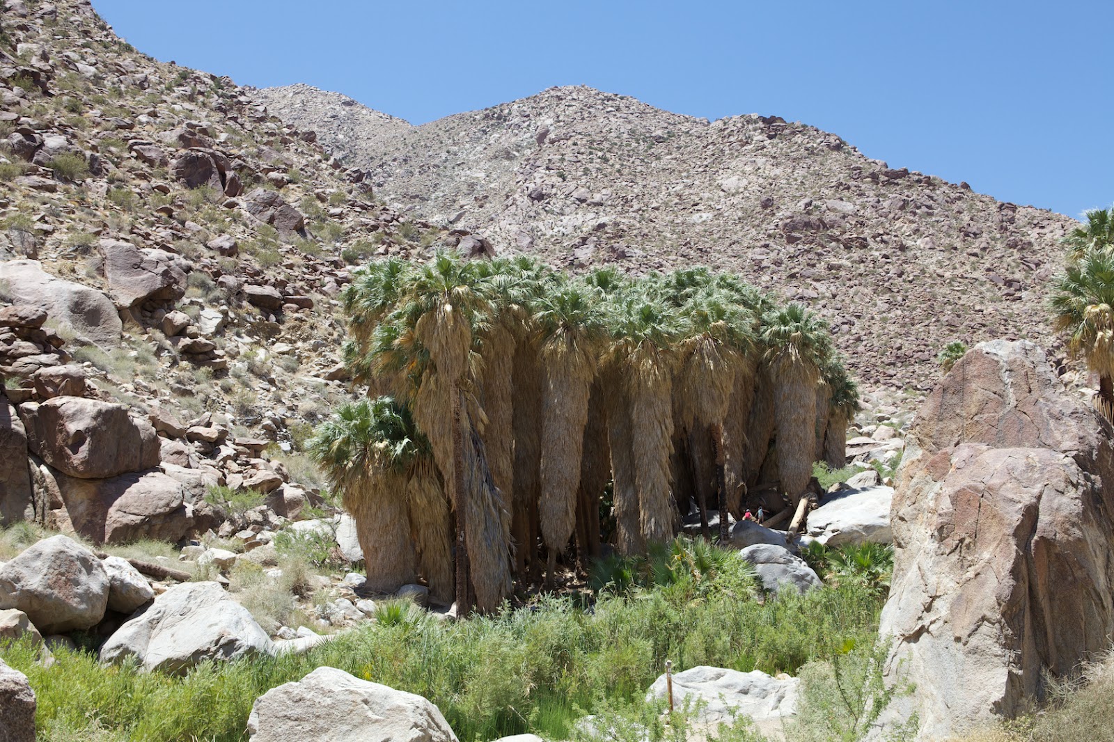 borrego springs personals Its central point is the talmadge traffic circle and the entrance is marked by majestic gates dating back to 1927 that will make any lucky homeowner proud to drive . borrego springs personals Its central point is the talmadge traffic circle and the entrance is marked by majestic gates dating back to 1927 that will make any lucky homeowner proud to drive .