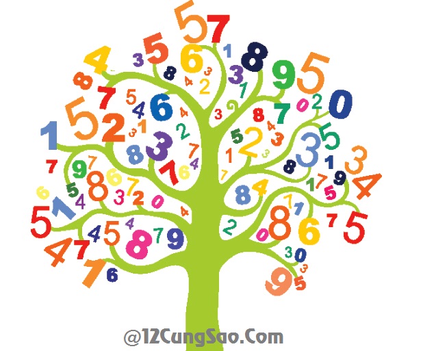 Tử vi Thứ Bảy 28/2/2015 - 11 Thần Số hàng ngày Tử vi Thứ Bảy 28/2/2015 - 11 Thần Số hàng ngày