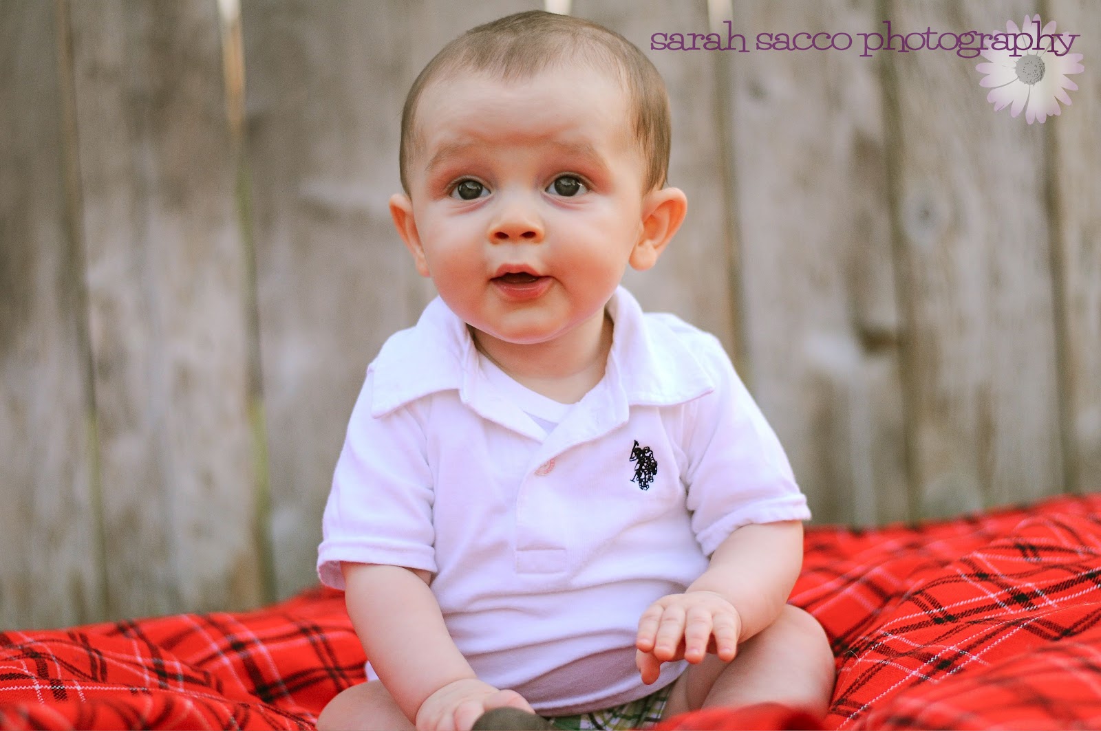 The 113th Arden Fair Has Been Postponed To 2021 Delaware Way