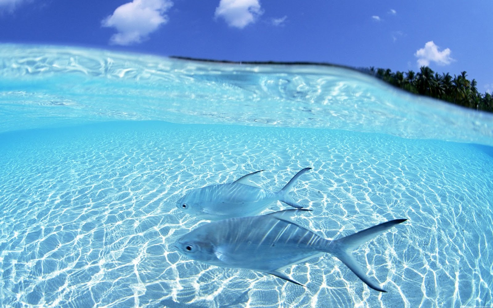 Beautiful Beach Desktop Beautiful Beach Desktop