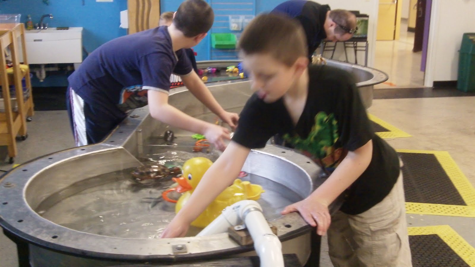 THE COOKIE CRUMBS Our Trip to the Buffalo Science Museum