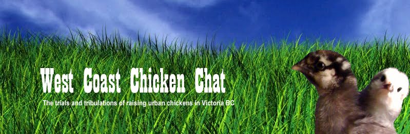 West Coast Chicken Chat