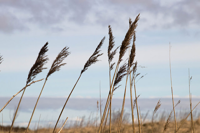 Blog Seite 84 Astrid Volquardsen