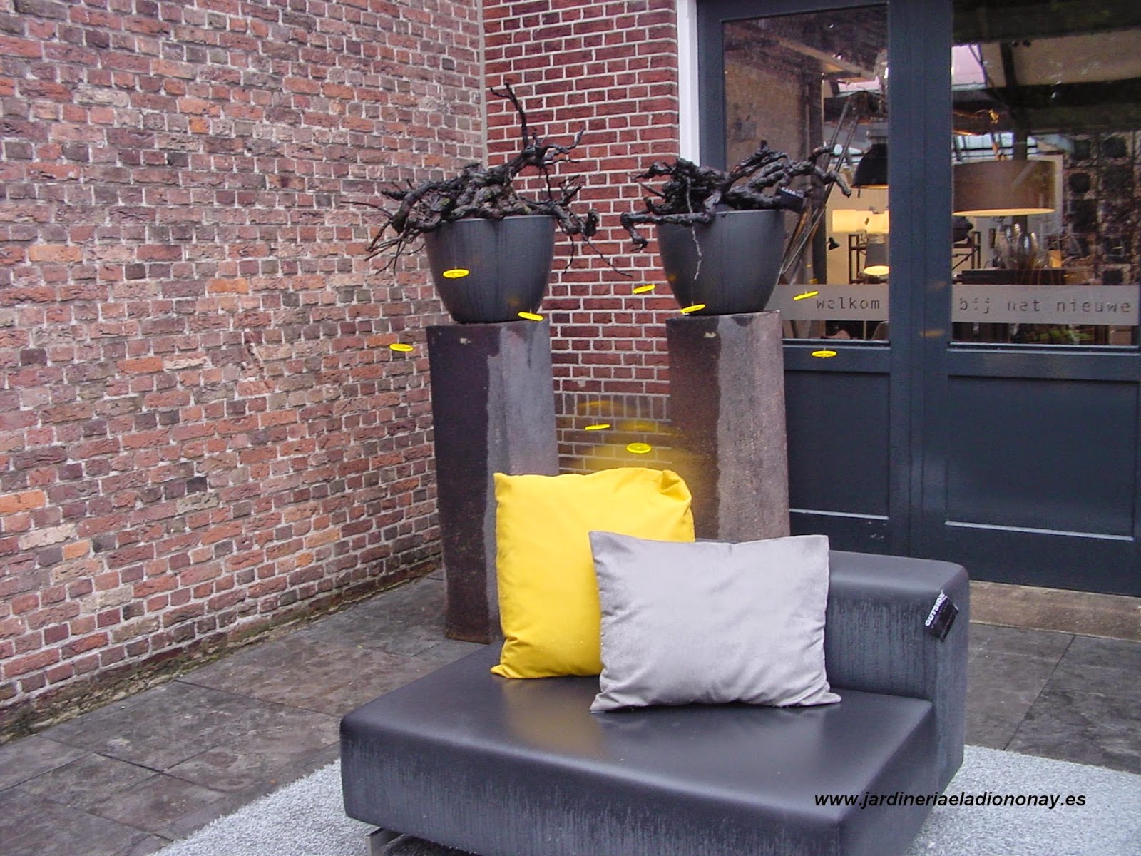 Jardineria Eladio Nonay: octubre 2014