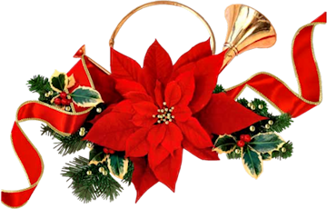 Image result for poinsettia png