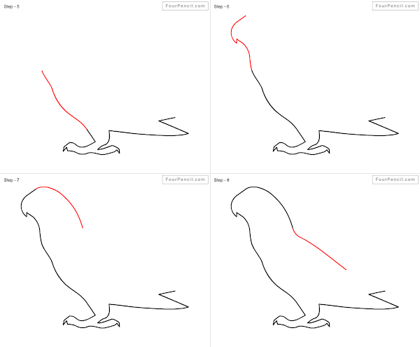 How to draw Parrot - slide 2
