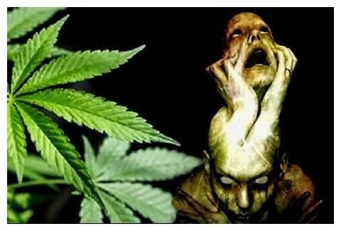 Psicoses são mais comuns entre pessoas que usam a maconha Psicoses são mais comuns entre pessoas que usam a maconha