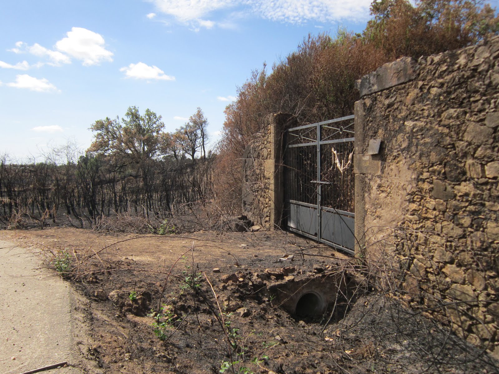 Tras el incendio...