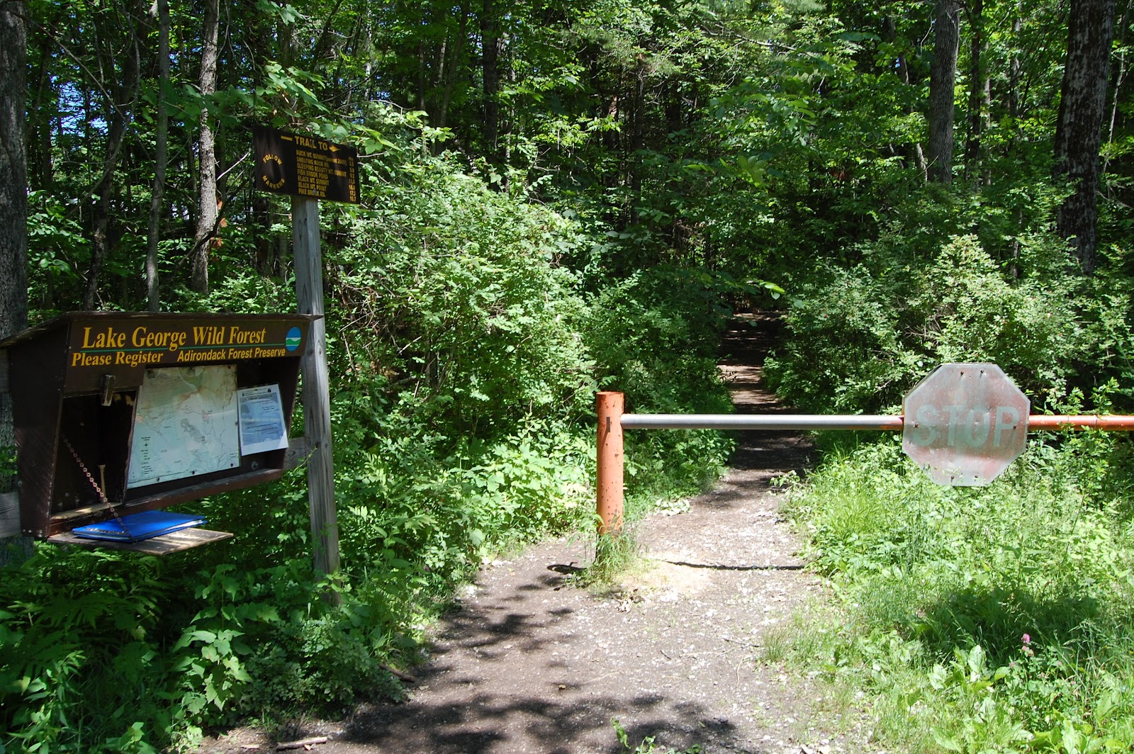 Hiking Buck Mountain East West Hike