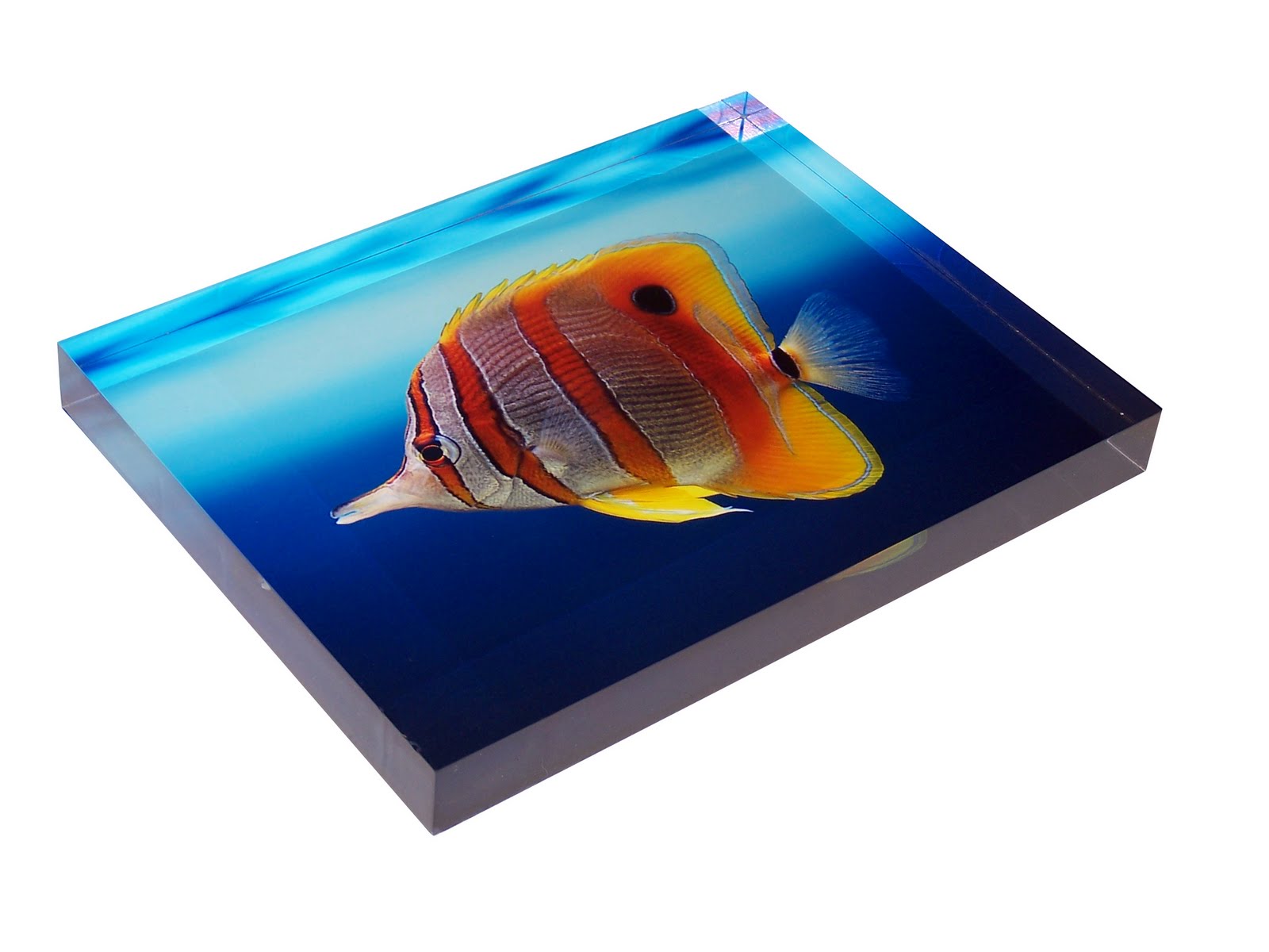 acrylic photo blocks acrylic photo blocks launch photo block