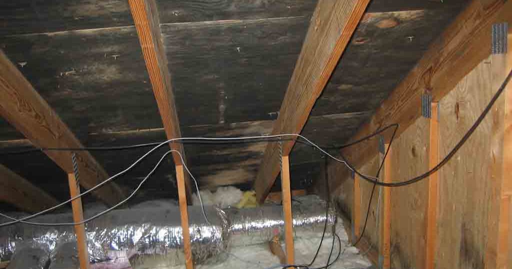 Where Does Mold Grow Household Mold Problem Mold Removal DIY Tips