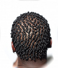Kinky Hair 101 All About Locs The Kinky Apothecary