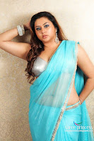 South, actress, Namitha, posing, latest, photoshoot, transparent, blue, saree, images