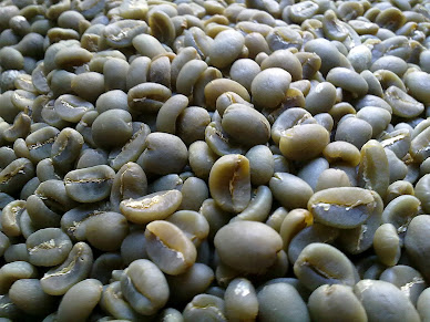 Arabica Green Beans Civet Coffee (Kopi Luwak)