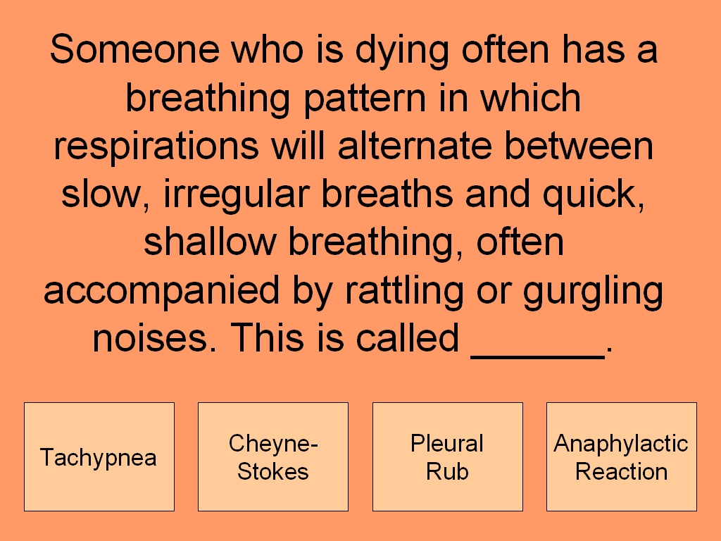 Student Survive 2 Thrive Free Practice Test Death and Dying