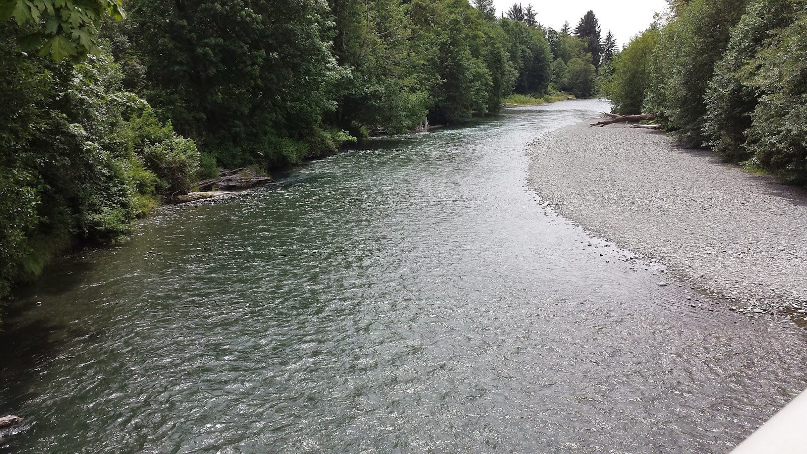 Technically Homeless Campground Review Dosewallips State Park