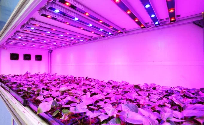 led grow light