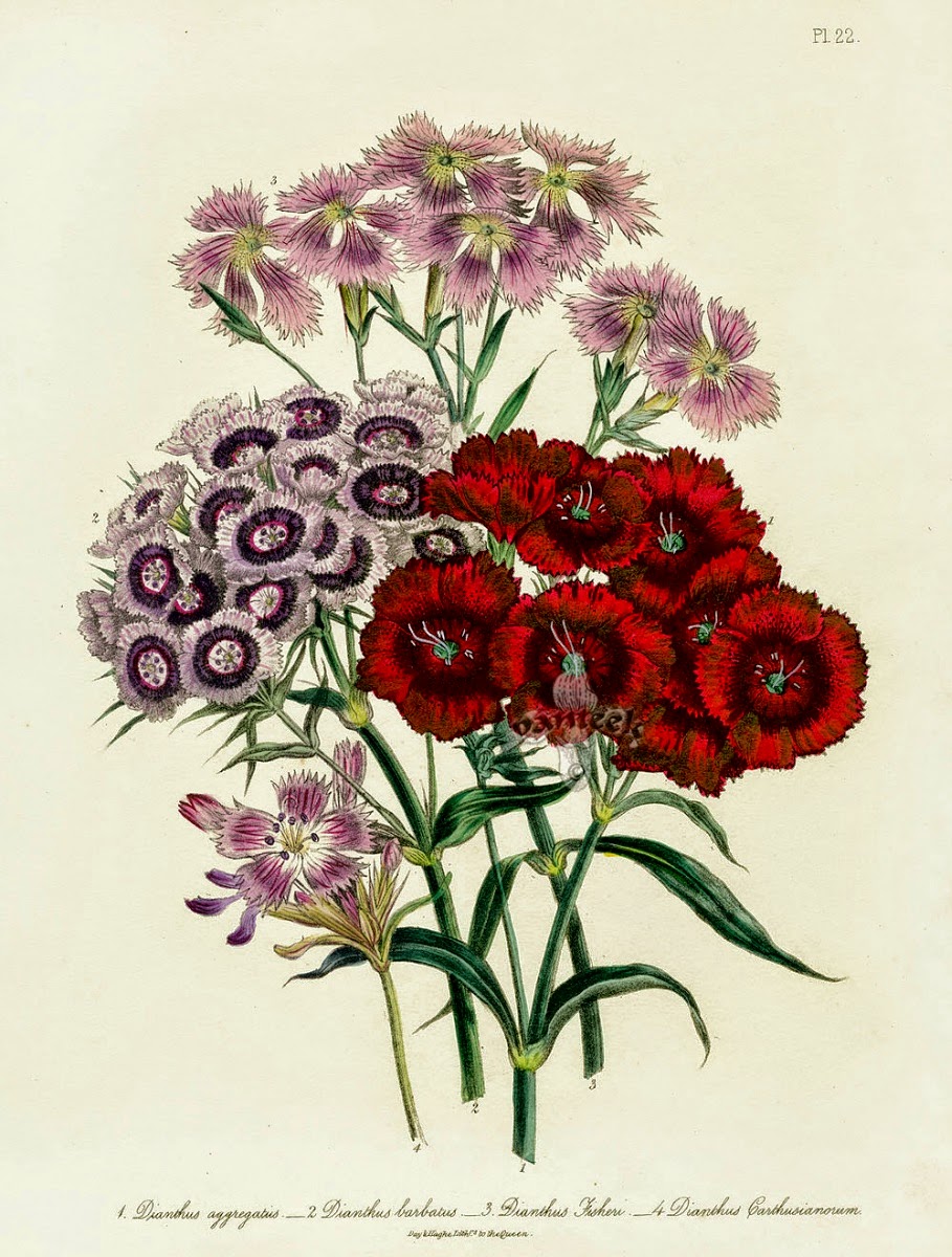 Infotainment @ www.keralites.net Fun & Info @ Keralites.net