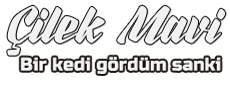 Çilek Mavi - Bir kedi gördüm sanki