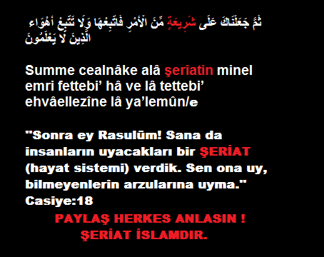 Bendeniz Olsun Bendeniz Olsun
