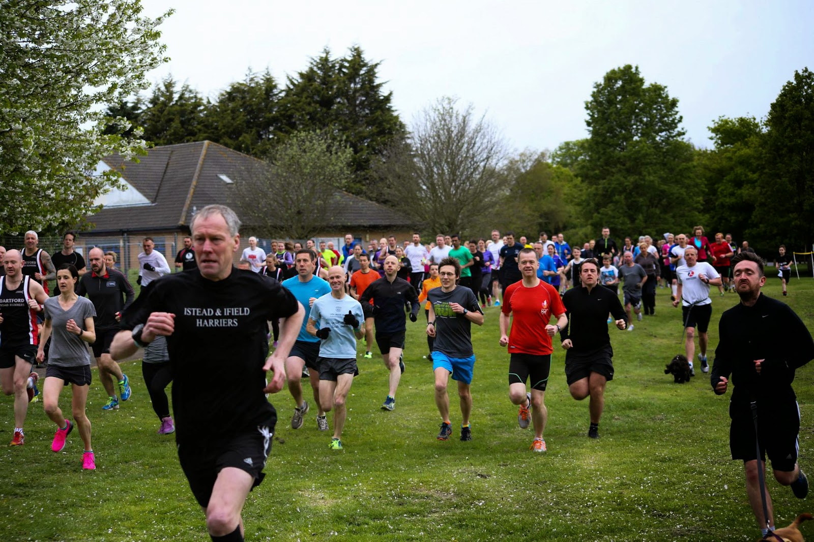 blog7t Dartford parkrun 40 the road runners take the reigns
