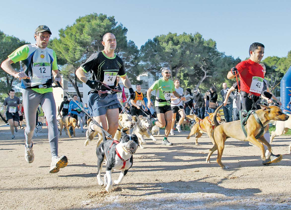 Educación Física y Cultura Física CANICROSS CARRERAS CON PERRO