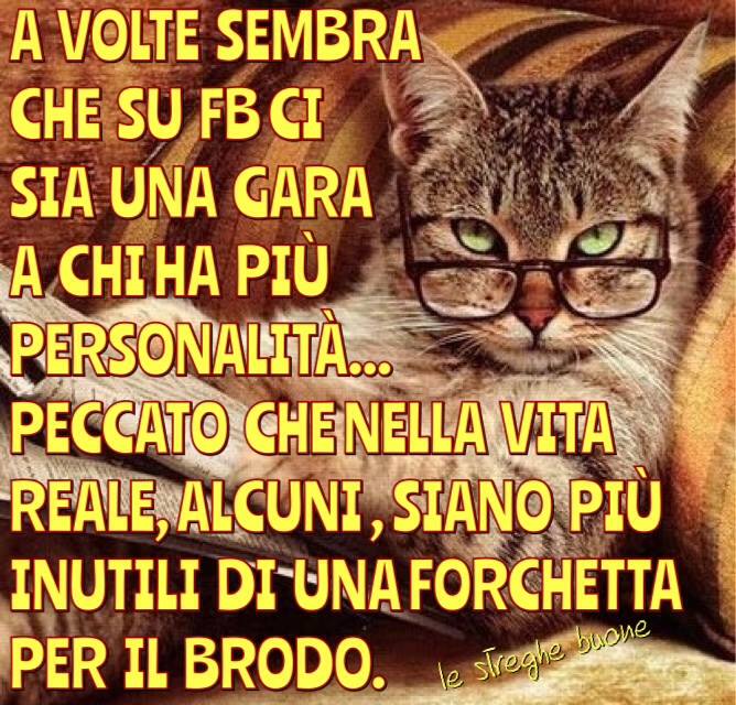 Le Streghe Buone The Original Pagina Facebook Gatto Incazzato 3