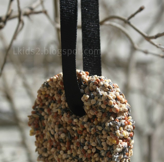 daisysnu DIY outdoor bird treats