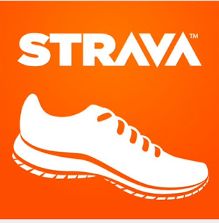 fossil strava
