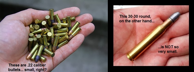 BulletSizeComparison.jpg