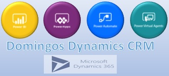 Domingos Dynamics CRM Brasil