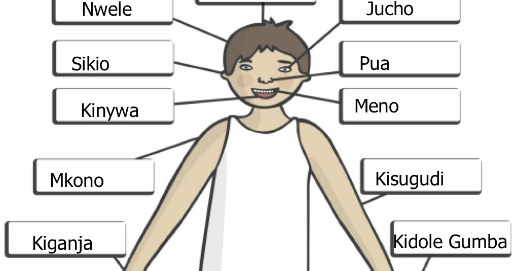 A Student Radiographer goes abroad! Swahili Body Parts (English