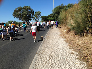 Australian Shepherd dog trekking in Oeiras