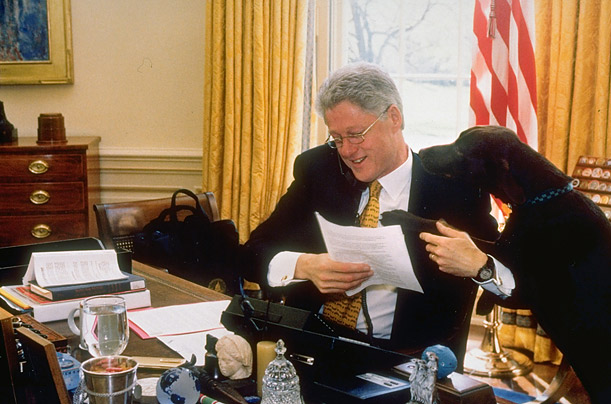 Clinton Washington Dog Friend Clinton Washington Dog Friend