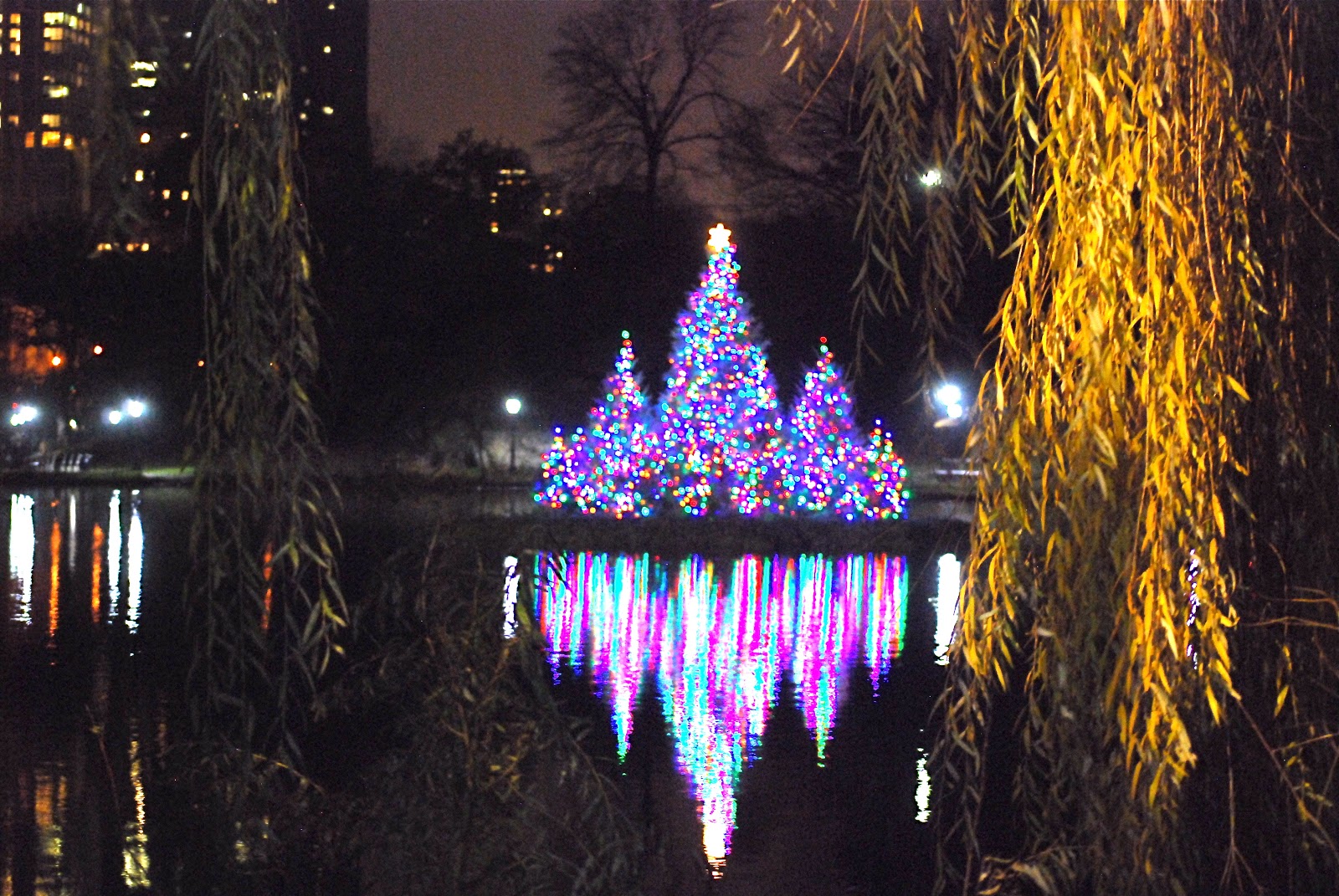 NYC ♥ NYC Lighting of the Picturesque Dana Discovery Center and