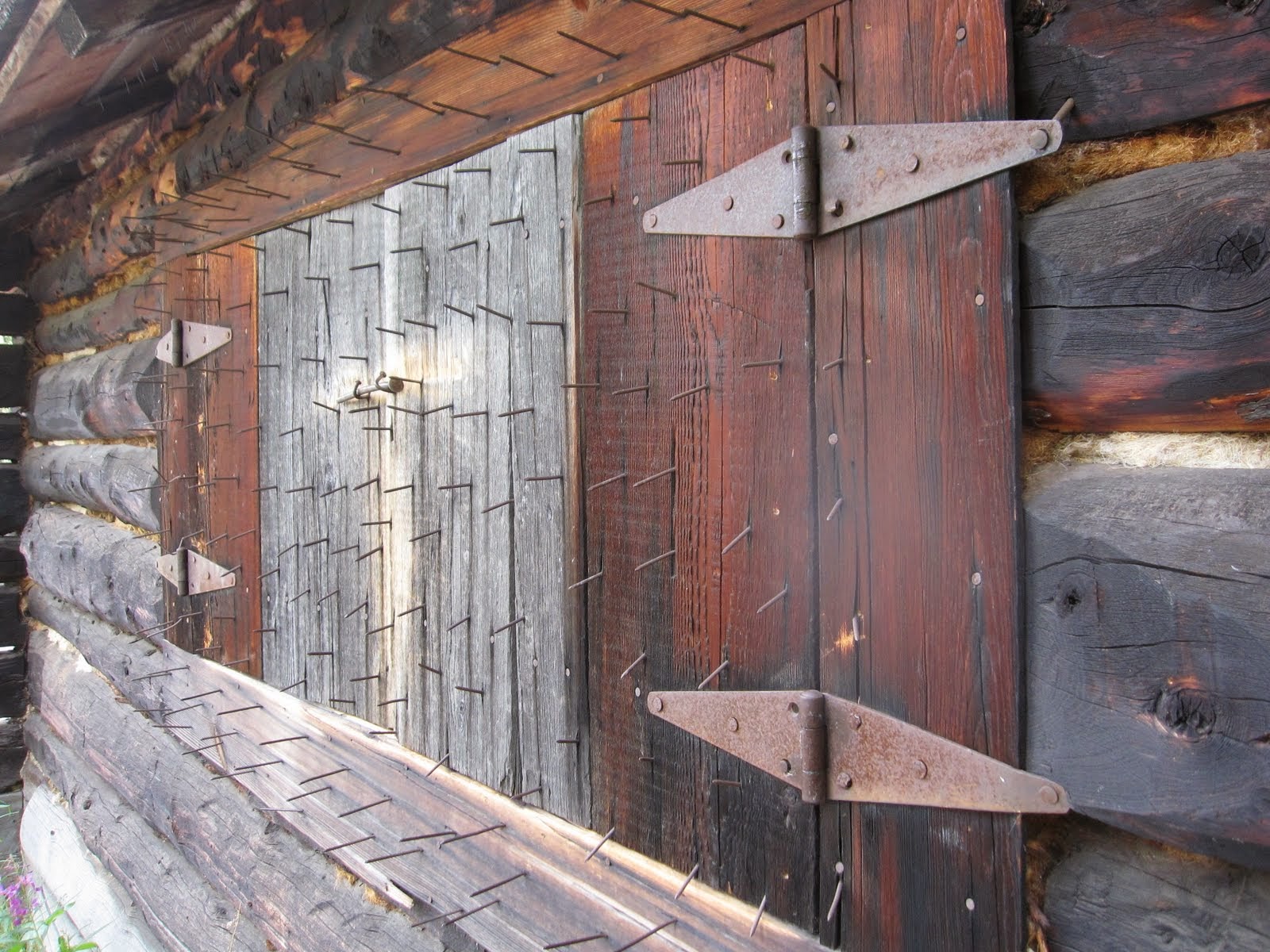 Predator Friendly Ranching Dead bears and honey bees