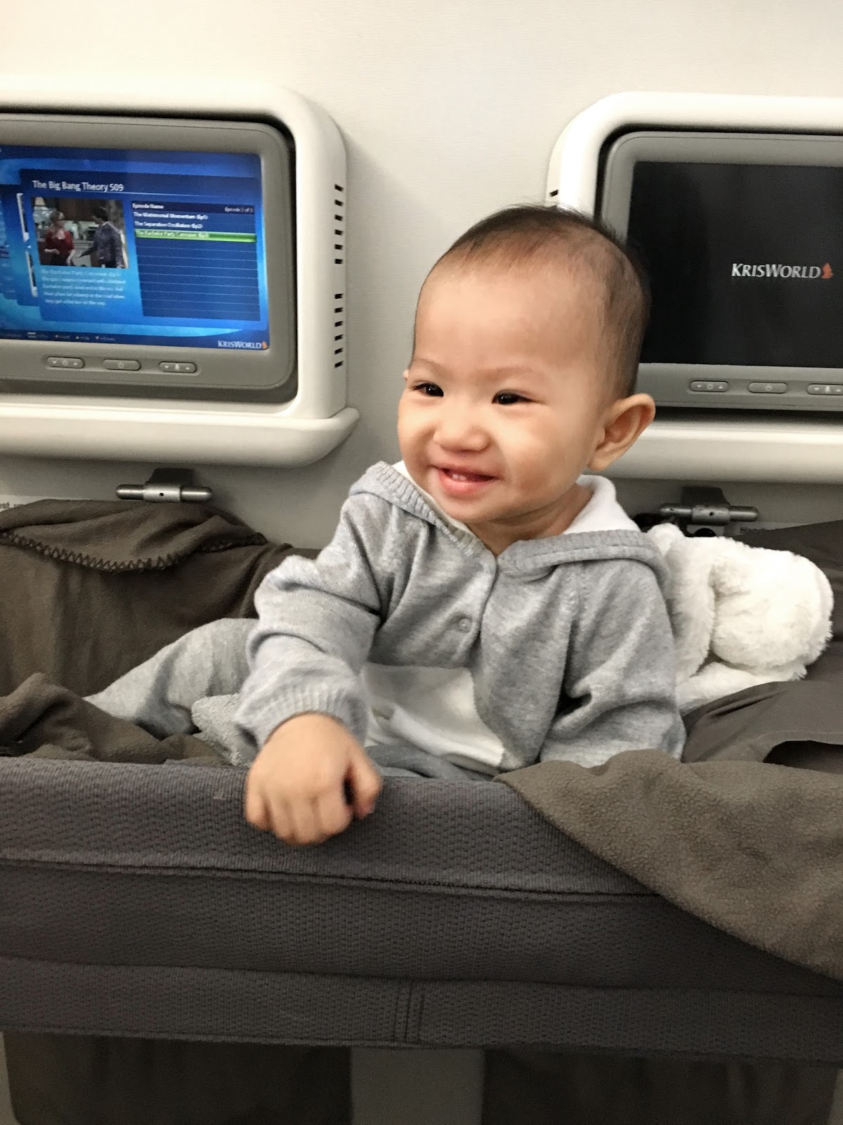 Airlines Bassinet Seat Singapore Airlines Stroller Check In