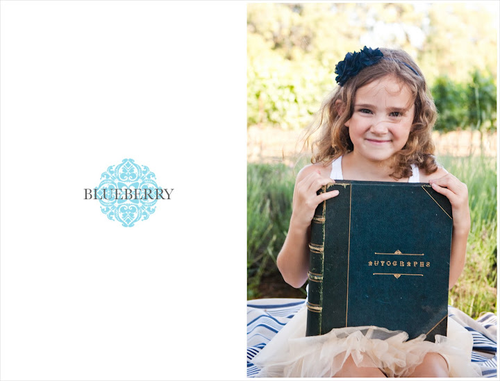 Sonoma beautiful outdoor natural lighting wedding photography session guest book