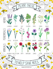 Plant these, save bees.