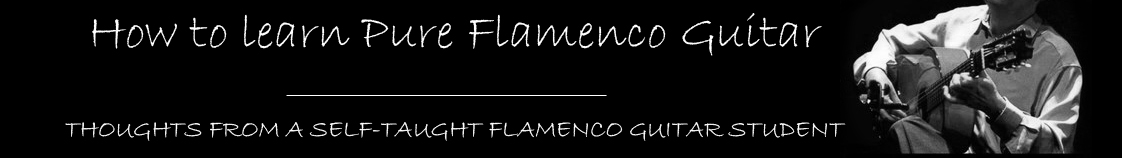 How to learn Pure Flamenco guitar