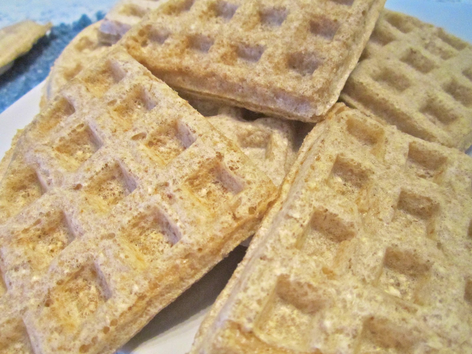 Mary's Busy Kitchen Oat Waffles