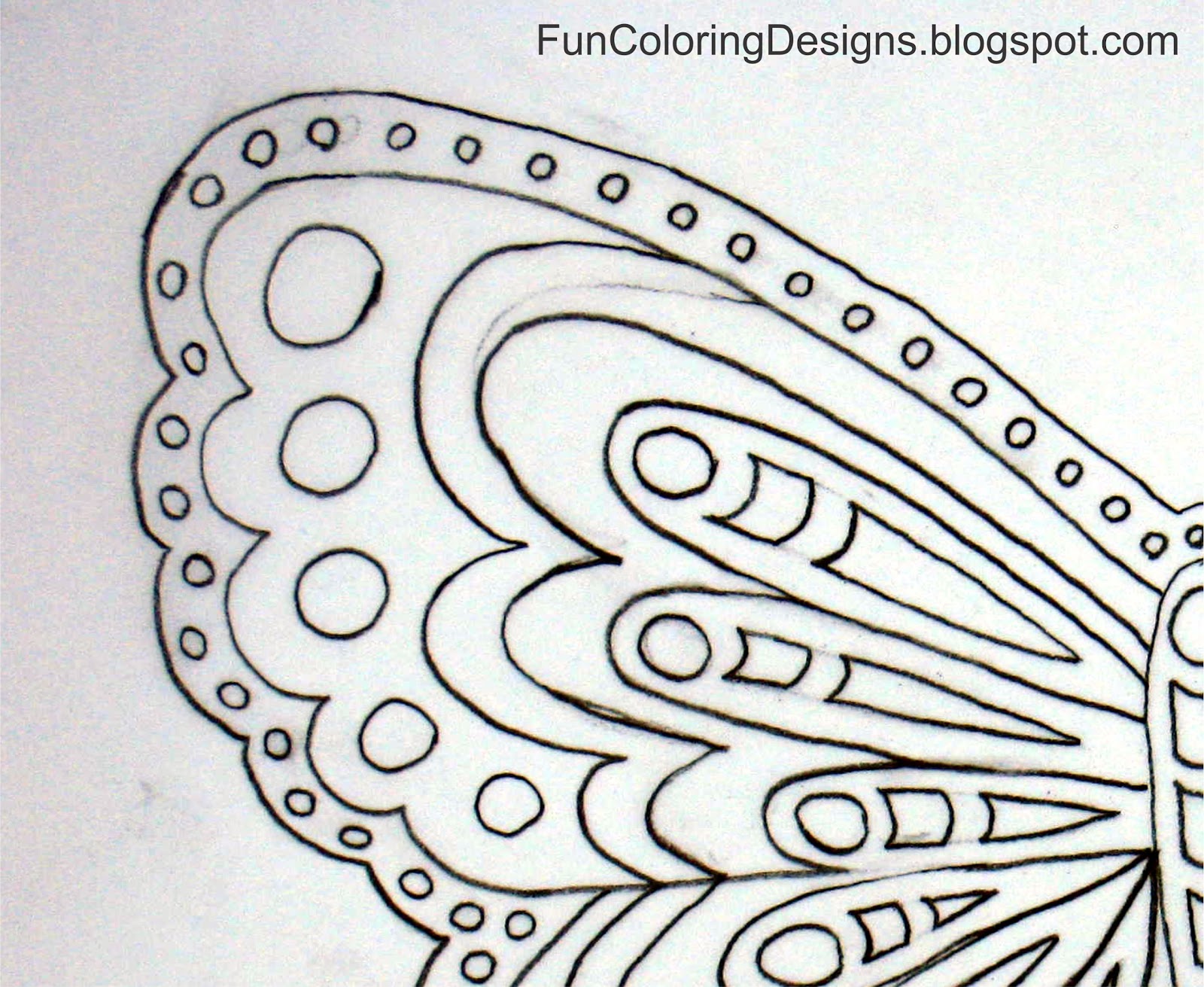 Butterfly B Zebra B B Original B Drawing B B Blog