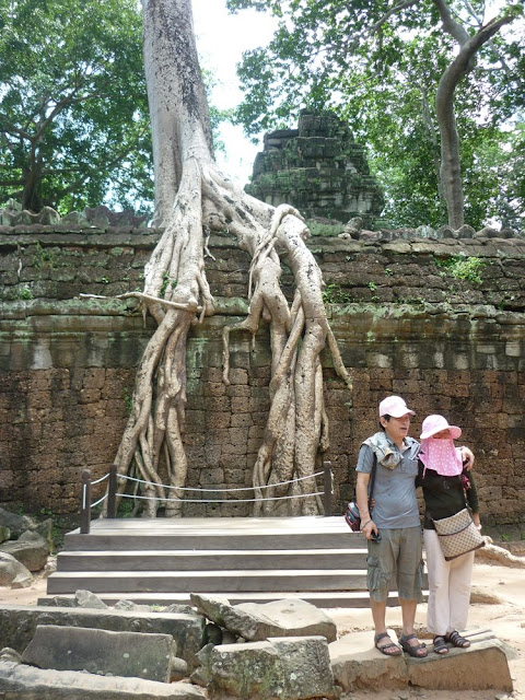 Angkor Thom: Thu-Thiệp chụp duới gốc cây cổ thụ leo tuờng