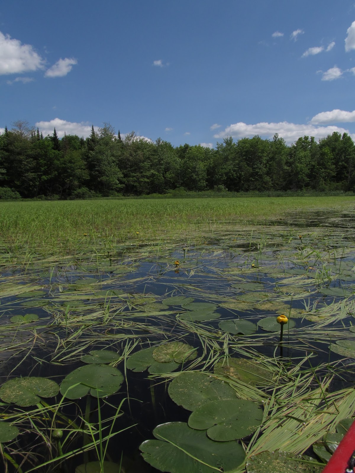 Recreational Kayaking in Maine Upper Pleasant Pond, Richmond, Maine