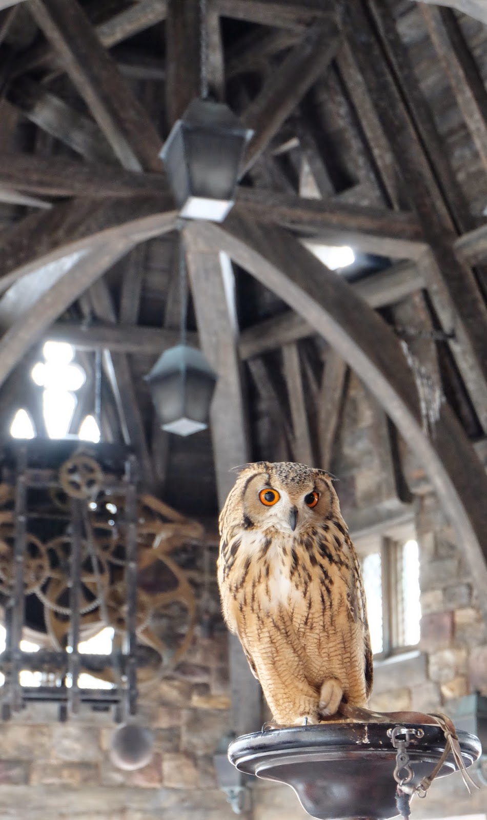 muñeco dobby harry potter