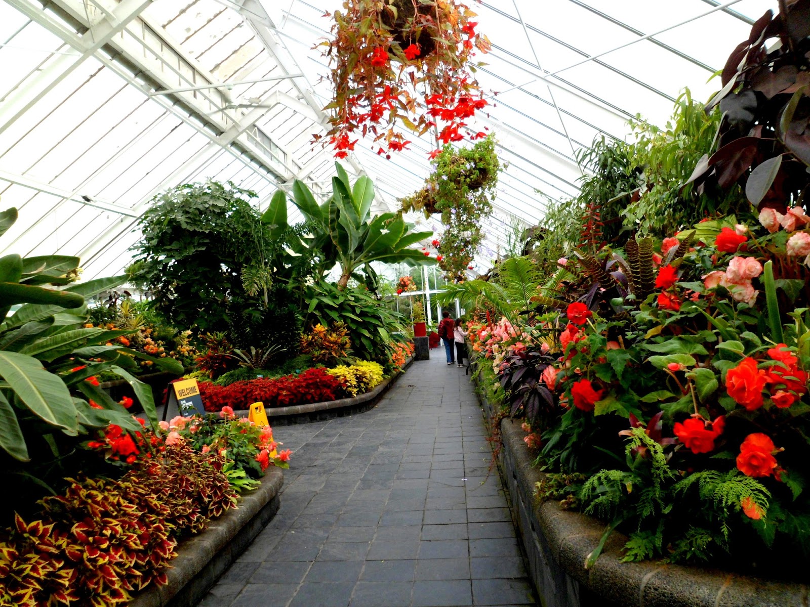 So Space Day Out at the Wellington Botanic Garden