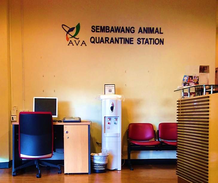 zChicChick Bringing our pet dog into Singapore Quarantine station