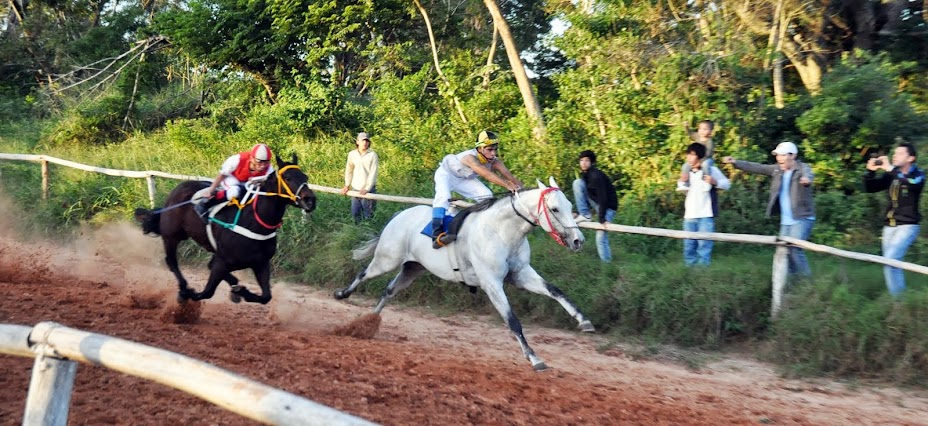 Fredy Fotos Cuadreras