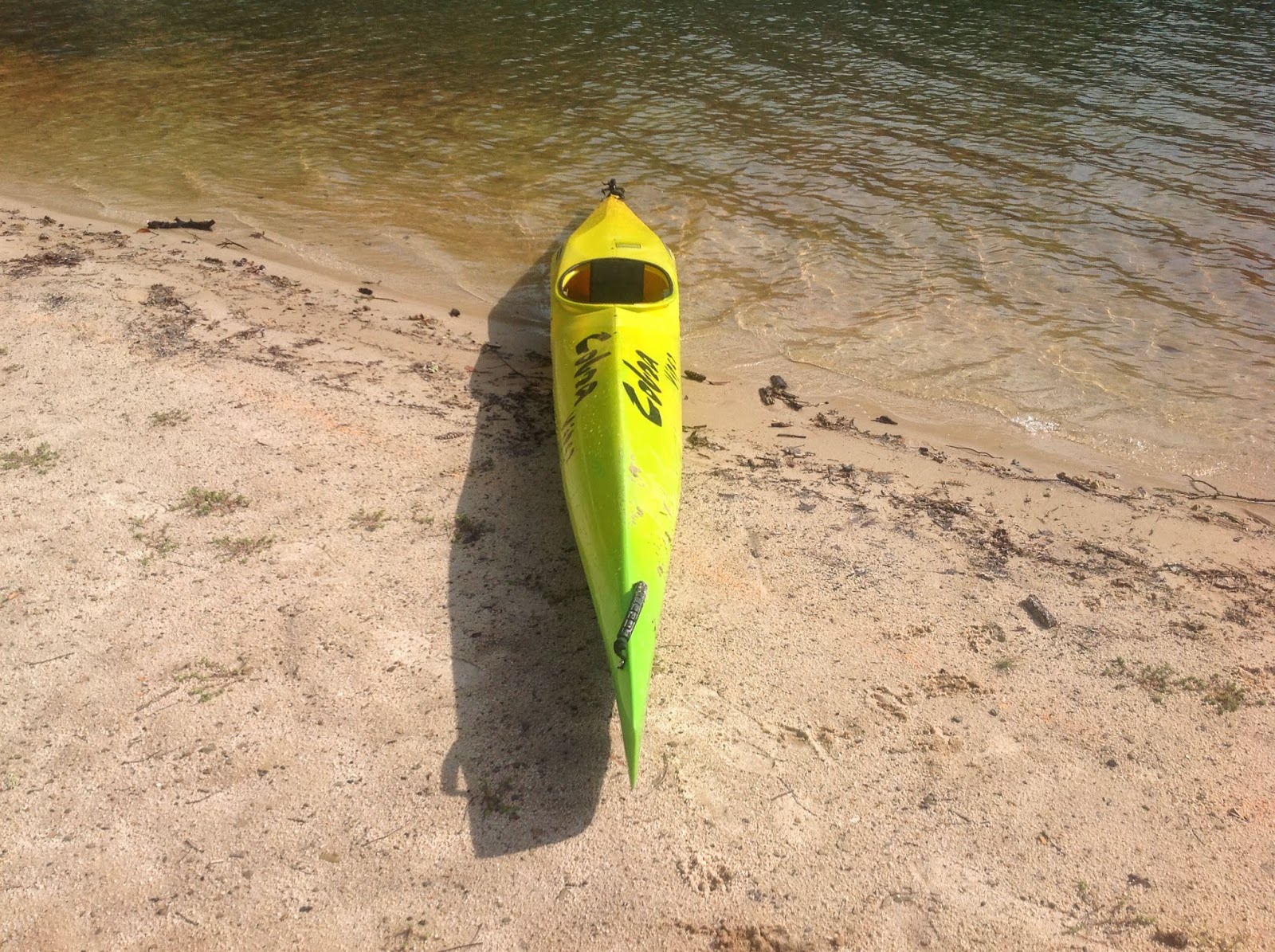 RunAlleghany Cobra Viper Racing Kayak for sale